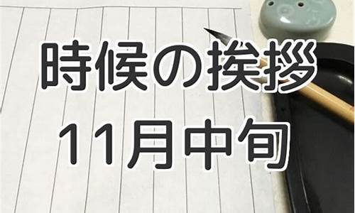 2013年11月中旬油价调整时间_2013年油价每升多少元